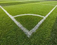 戚薇缺席,赵文卓夫妻,与张淇夫妻,开宝体育官网,APP下载,注册领彩金,官方网站,网站入口