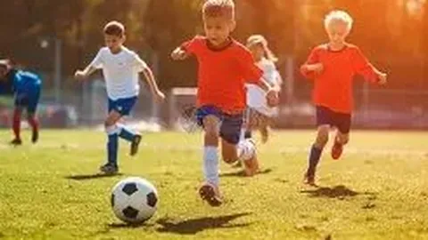 开宝体育 产品 215142 sgt