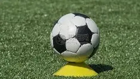 世乒赛确定延期，奥运预选赛情况未定