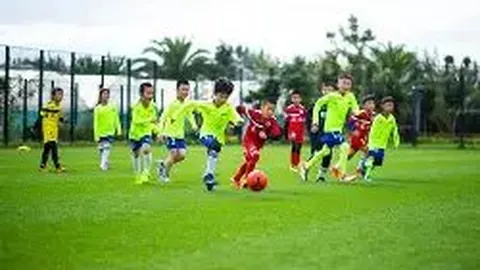 开宝体育 产品 084046 8lp