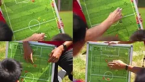 开宝体育 产品 142226 vbp